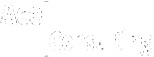 Ace Plus Consulting Logo